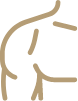 icone-ombro